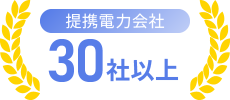 提携電力会社:30社以上