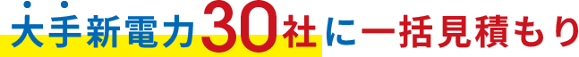 大手新電力30社に一括見積もり